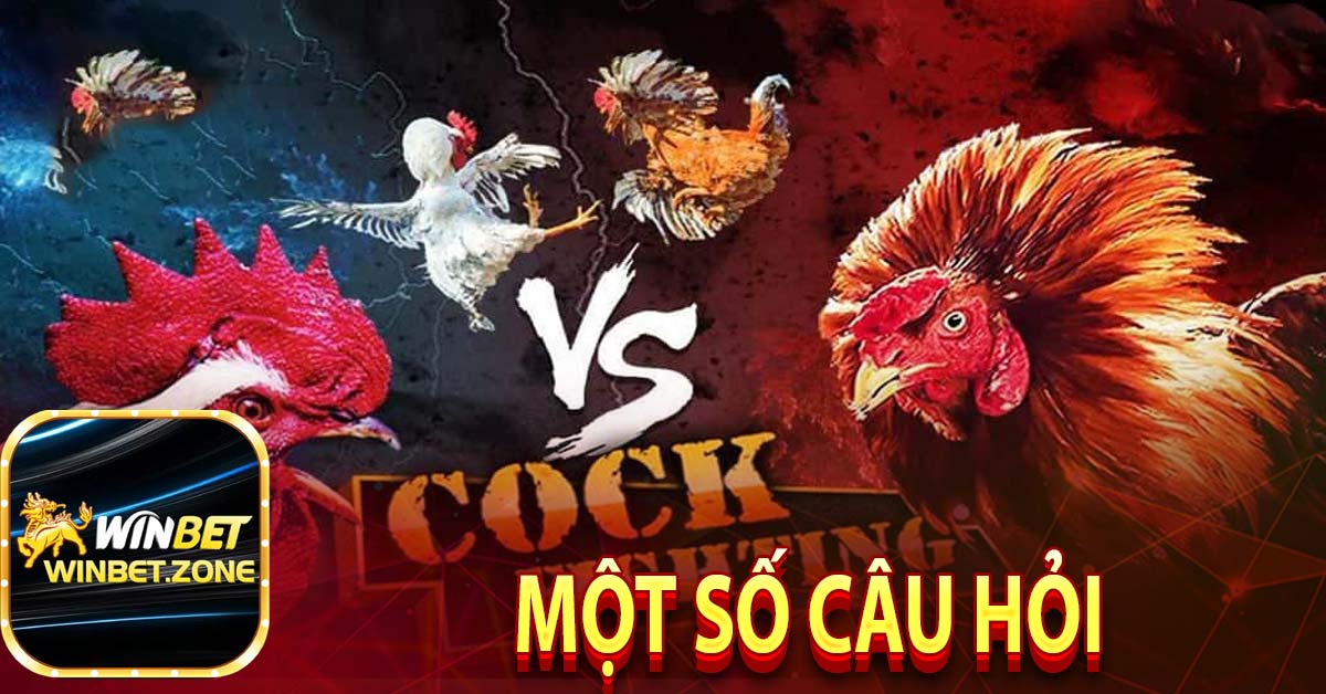 Một số câu hỏi