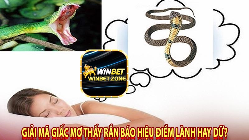 Giải mã giấc mơ thấy rắn báo hiệu điềm lành hay dữ?