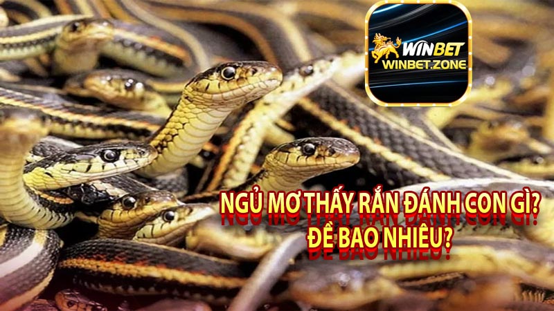Ngủ mơ thấy rắn đánh con gì? Đề bao nhiêu?
