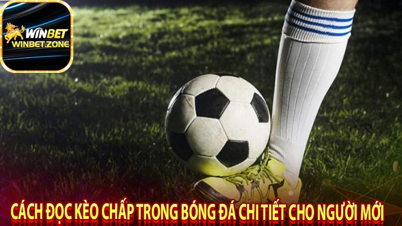 Cách đọc kèo chấp trong bóng đá chi tiết cho người mới
