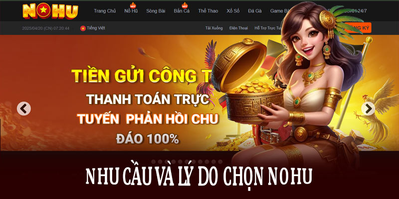 Nhu cầu và lý do chọn Nohu - Đâu là điểm mạnh thu hút người chơi?