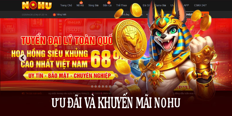 Ưu đãi và khuyến mãi Nohu